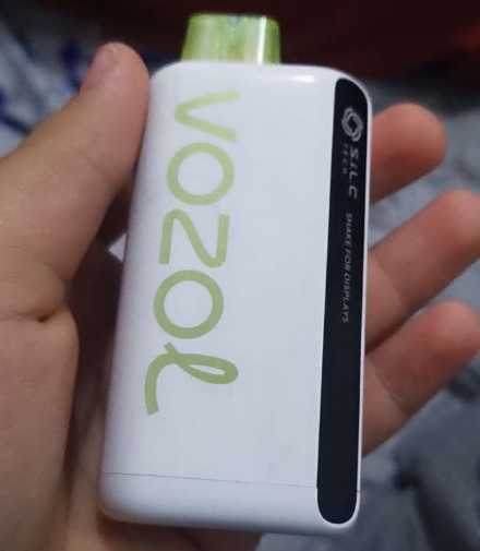 Vozol i Norge - En ny æra for vaping